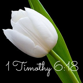 1 Timothy 6-18
