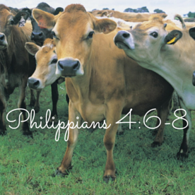 Philippians 4-6-8