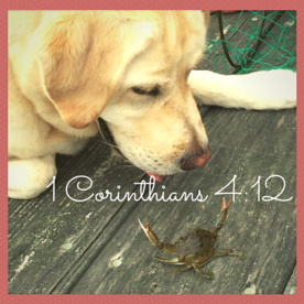 1 Corinthians 4-12 (1)