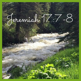 Jeremiah 17-7-8 (1)