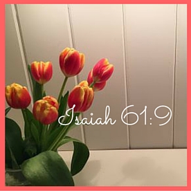 Isaiah 61-9